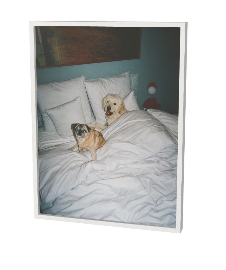Print "Sleepover" Size: 30 x 40 cm (unframed or mounted with frame options)