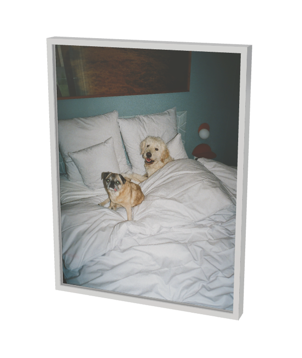 Print "Sleepover" Size: 30 x 40 cm (unframed or mounted with frame options)