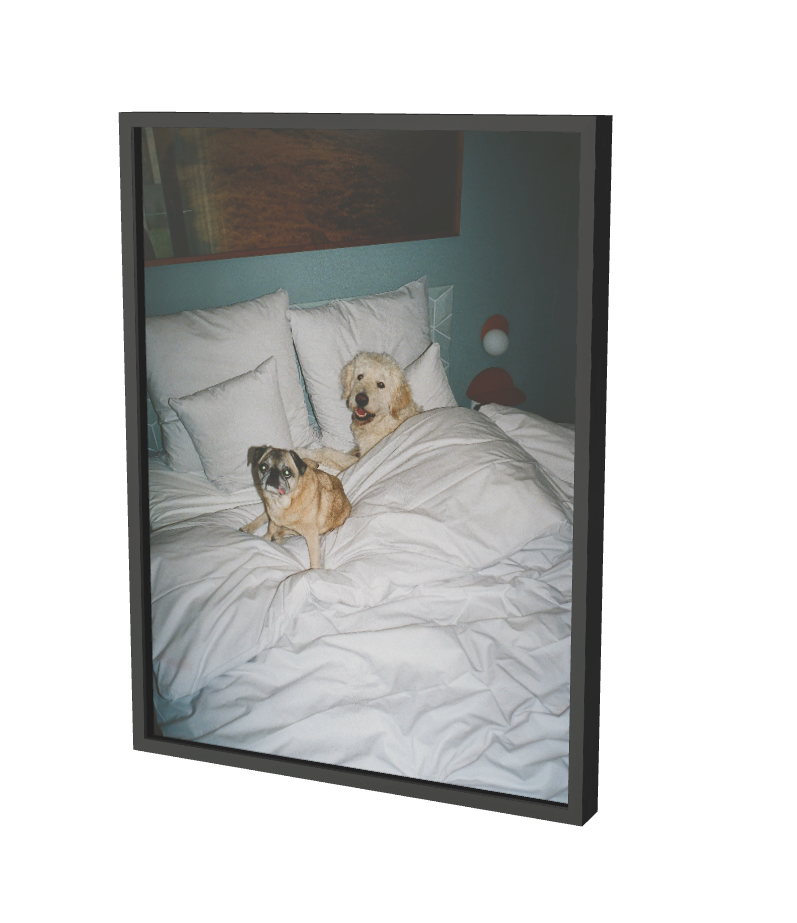 Print "Sleepover" Size: 30 x 40 cm (unframed or mounted with frame options)