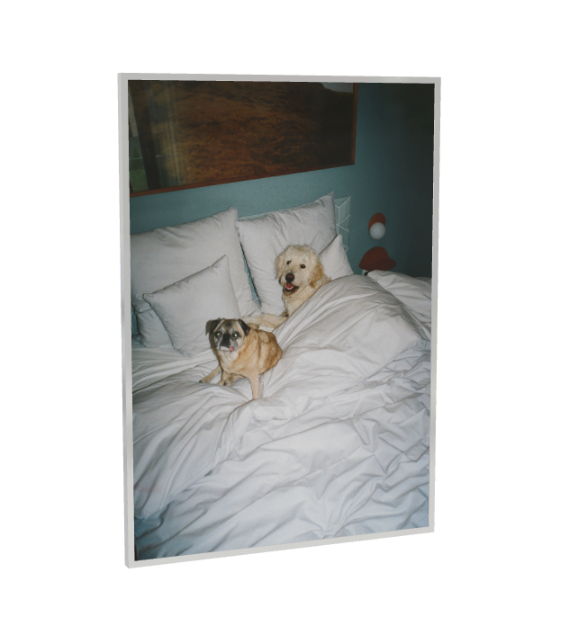Print "Sleepover" Size: 30 x 40 cm (unframed or mounted with frame options)