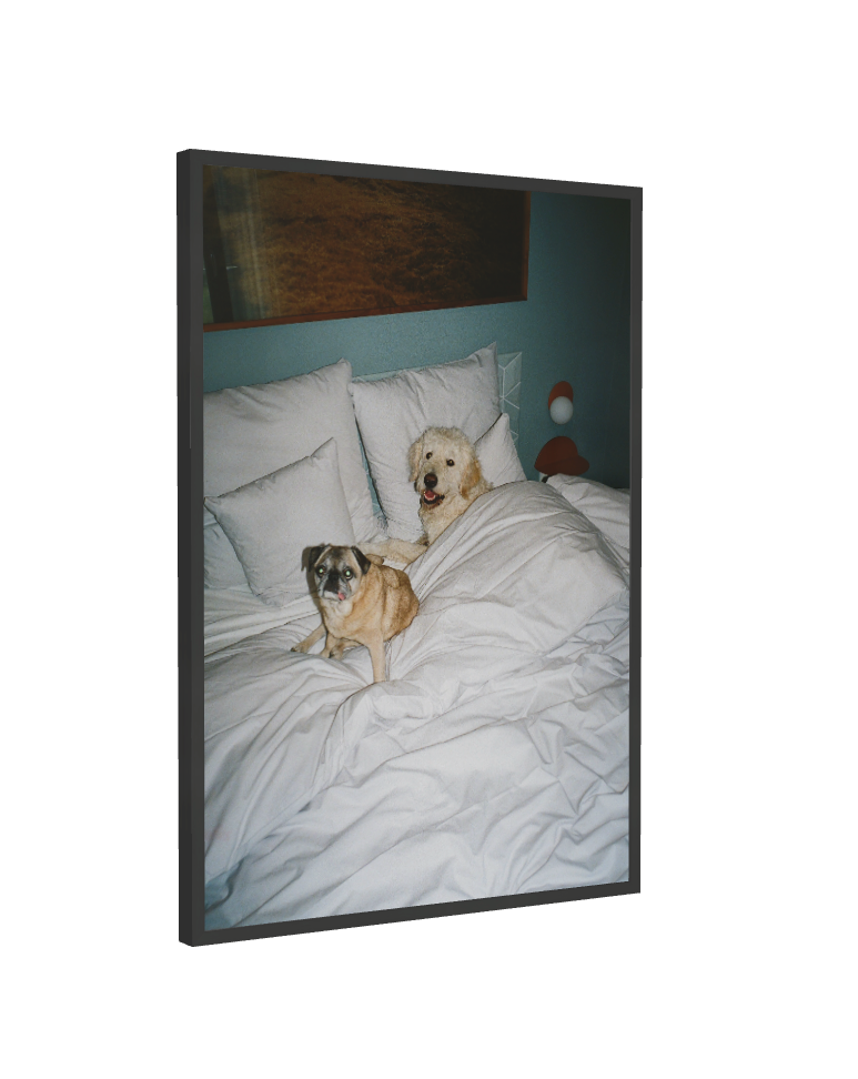 Print "Sleepover" Size: 70 x 100 cm (unframed or mounted with frame options)