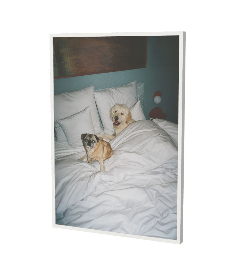 Print "Sleepover" Size: 70 x 100 cm (unframed or mounted with frame options)