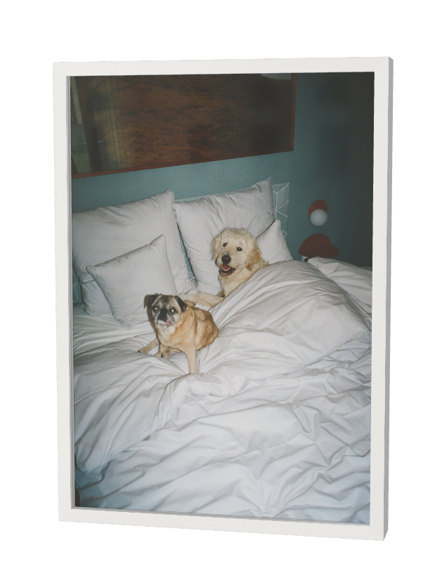 Print "Sleepover" Size: 30 x 40 cm (unframed or mounted with frame options)