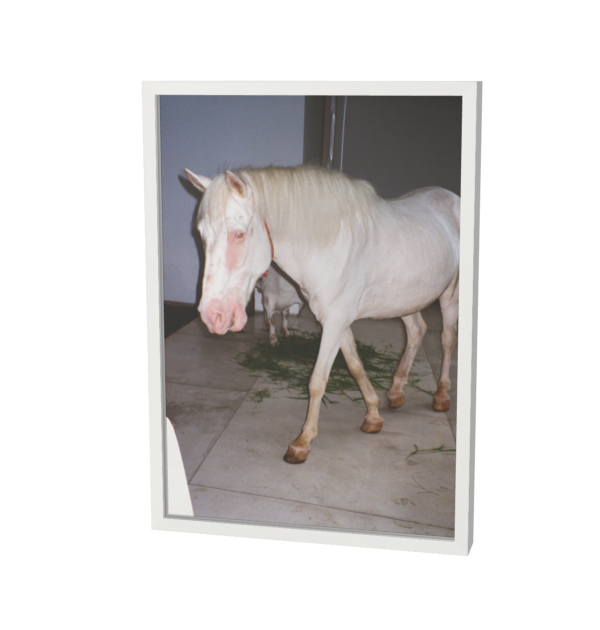 Print "Horse dream sequence" Size: Din A4 (unframed or mounted with frame options)