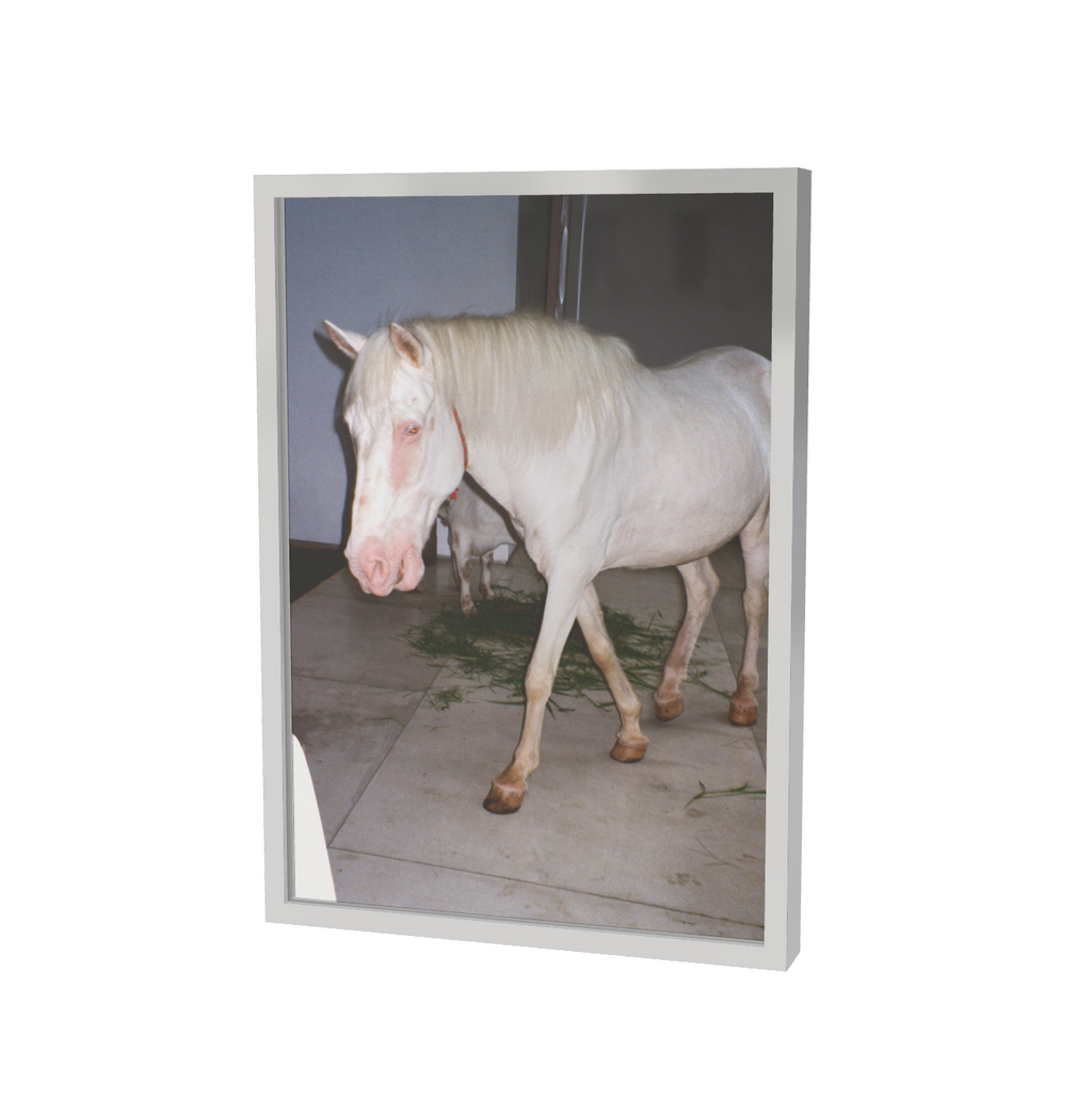 Print "Horse dream sequence" Size: Din A4 (unframed or mounted with frame options)