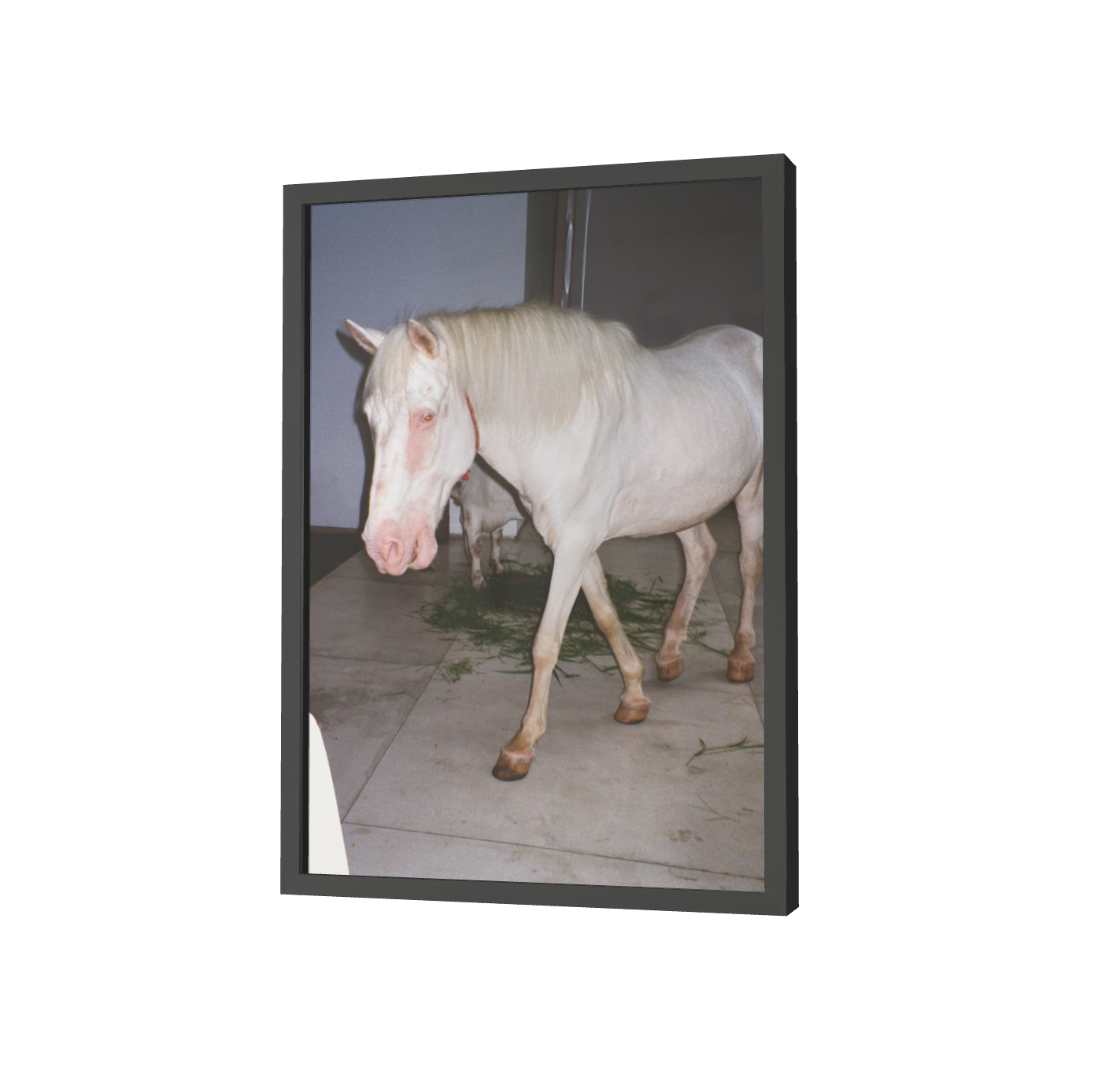 Print "Horse dream sequence" Size: Din A4 (unframed or mounted with frame options)