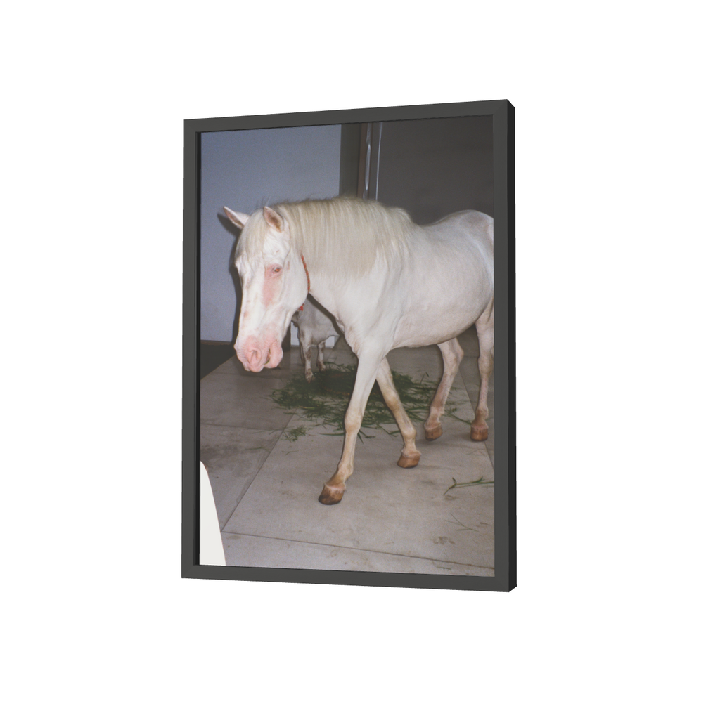 Print "Horse dream sequence" Size: Din A4 (unframed or mounted with frame options)