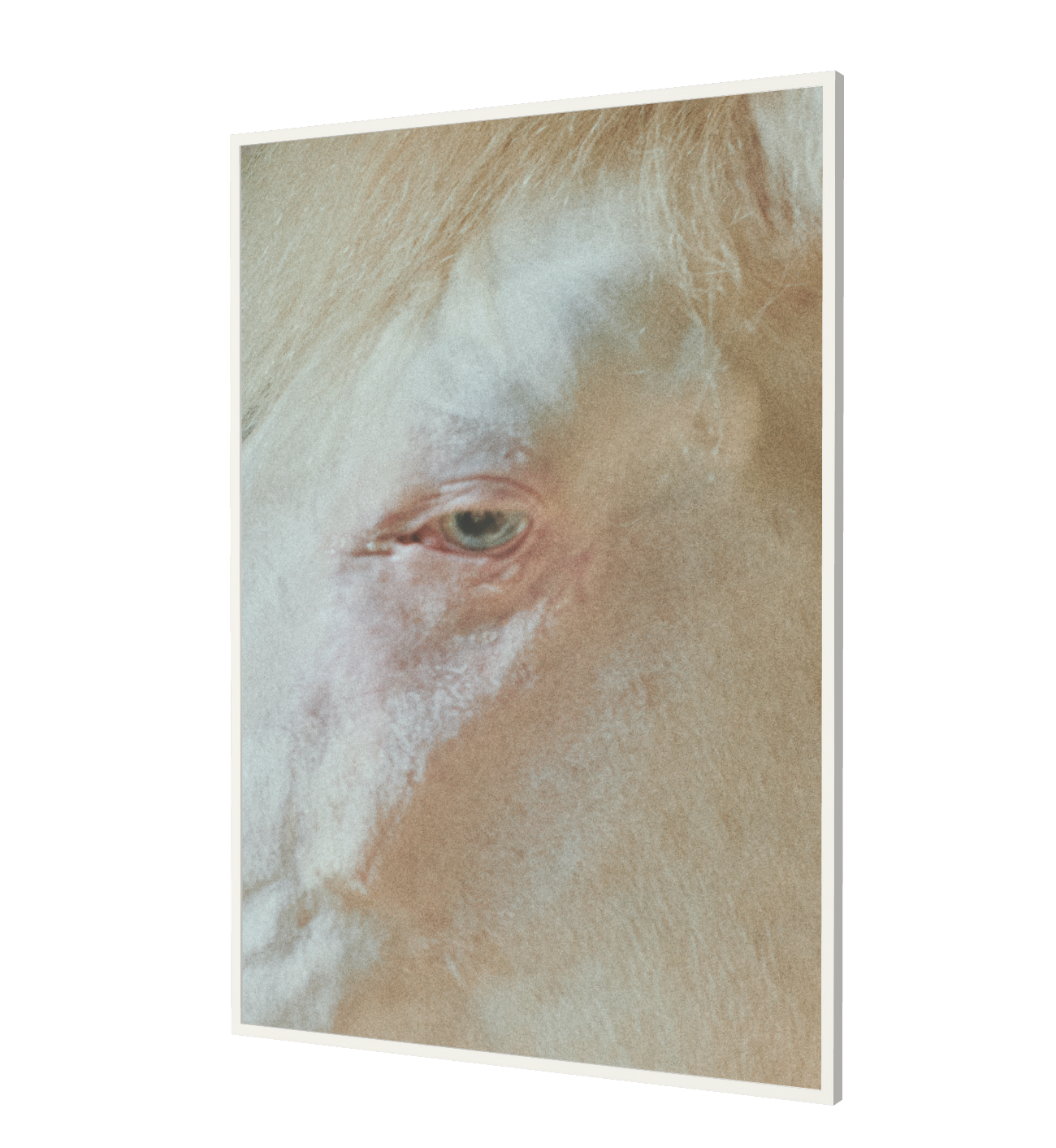 Print "Eye pt II" Size: 160 x 112 cm  (limited edition - mounted and framed)