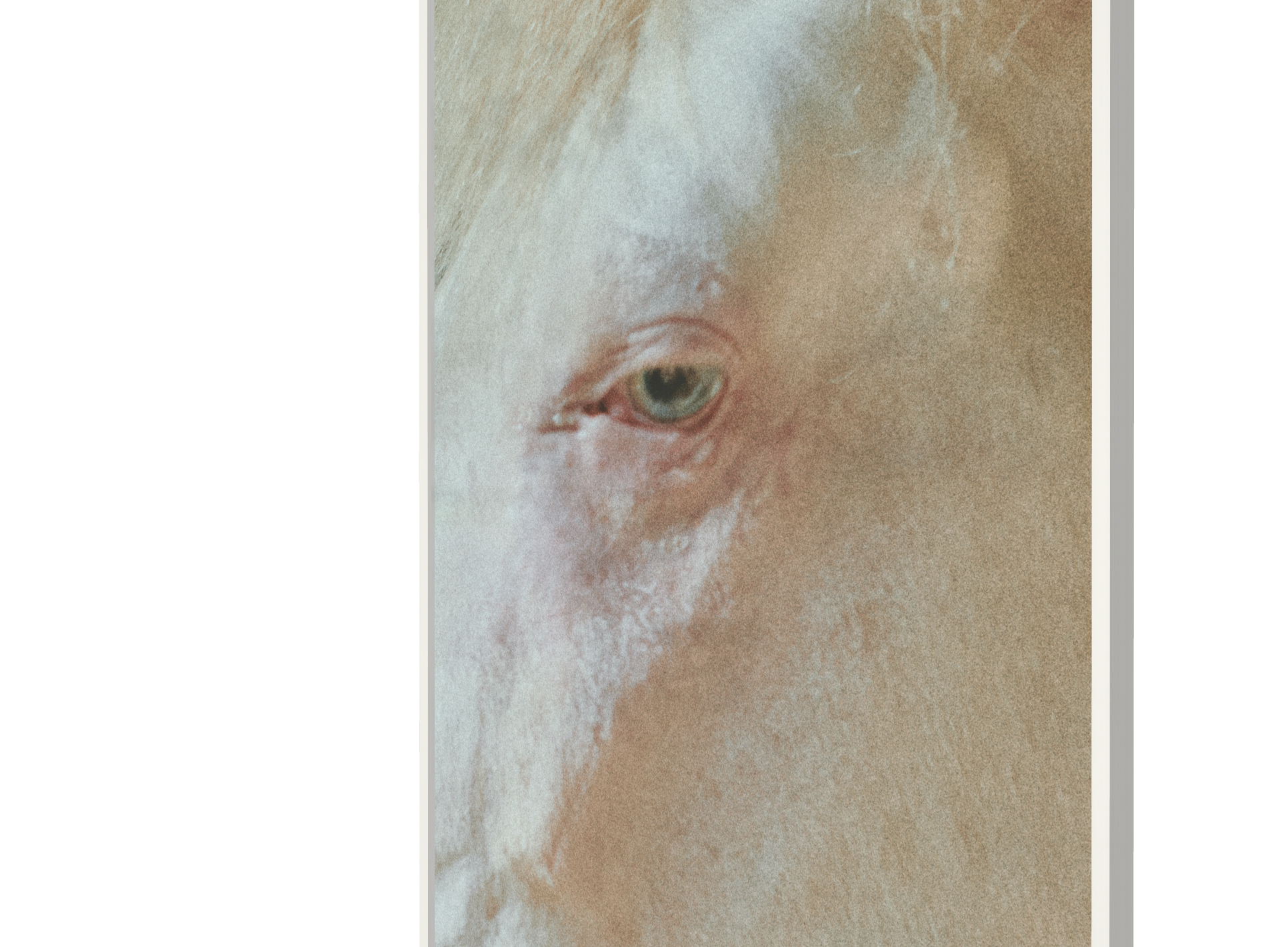 Print "Eye pt II" Size: 160 x 112 cm  (limited edition - mounted and framed)