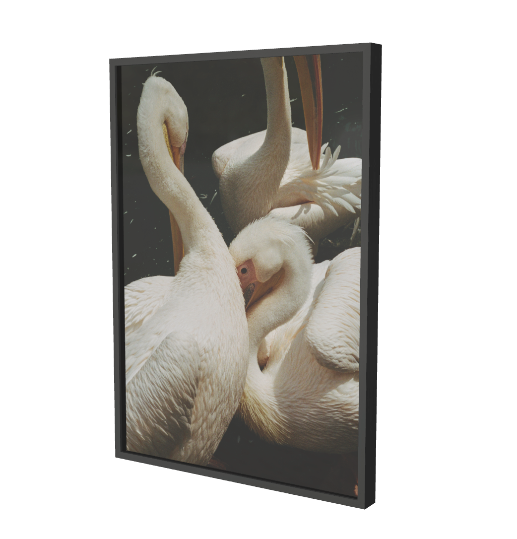 Print "The birds" Size: 35 x 50 cm or 70 x 100 cm