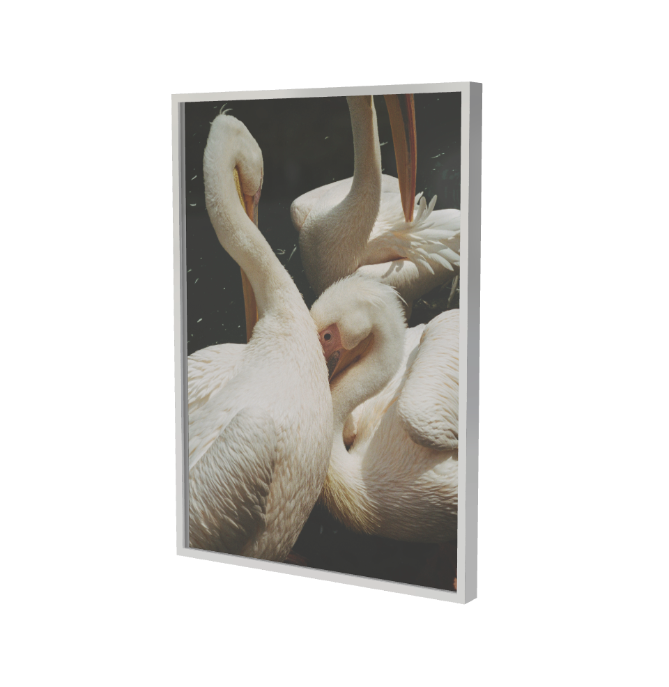 Print "The birds" Size: 35 x 50 cm or 70 x 100 cm