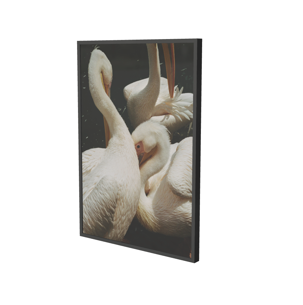 Print "The birds" Size: 35 x 50 cm or 70 x 100 cm